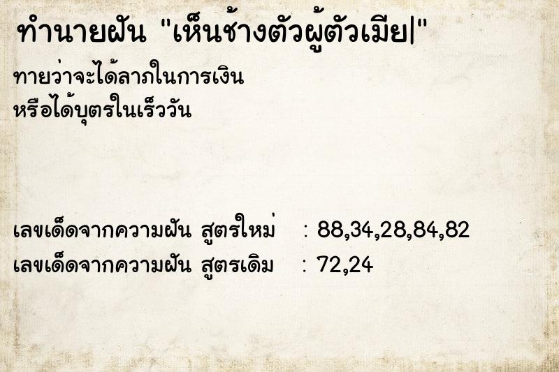 ทำนายฝัน เห็นช้างตัวผู้ตัวเมีย|